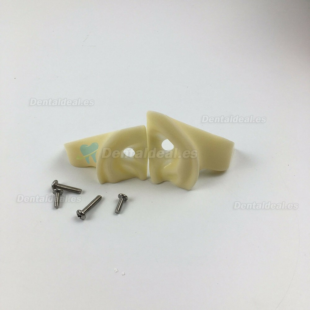 Jingle JG-C1 Dental Surgery Practice Model Head Clamp Type Simulation Phantom Head